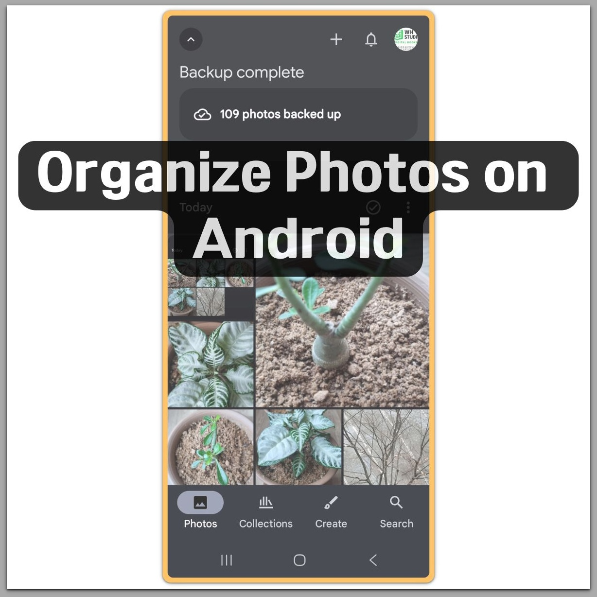 Google Photos main screen showing photos backed up on Android